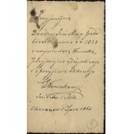 POWSTANIE STYCZNIOWE] Fotografia portretowa Ludwika Nowakowskiego, weterena roku 1863, z wnuczką. Chrzanów, lipiec 1920 r. [dedykacja L. Nowakowskiego]