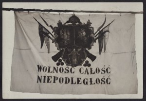 January Uprising] Photograph of the banner 
