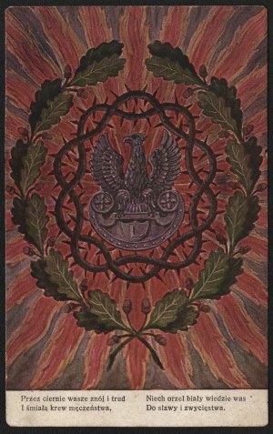 Patriotic postcard with legion eagle with crown of thorns and laurel leaves. [not before 1914]