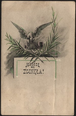 Patriotic postcard. Not lost yet! Printed by J. B. P.