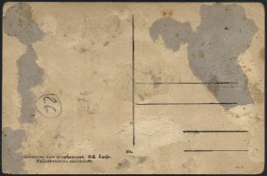 Patriotic postcard. Freedom the road in a white robe, Next to the White Eagle flies, On her forehead, look brother, the Jagiellonian Crown shines! Mal. Z. Skawiński.
