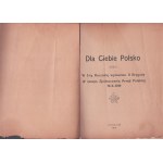 Dla Ciebie Polsko. W 5-tą Rocznicę wymarszu II Brygady. W Święto zjednoczenia Armii Polskiej. Kraków, 19. X. 1919. Wyd. staraniem sekcji oświaty i prasy armji gen. Hallera pod red. ppor. R. Bergela.