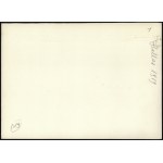 Błękitna Armia gen. Józefa Hallera] Zestaw 10 fotografii Błękitnej Armii oraz gen. J. Hallera z różnych defilad i uroczystości. Kraków 1919-1925, odbitki powojenne