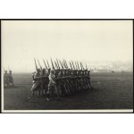 Błękitna Armia gen. Józefa Hallera] Zestaw 10 fotografii Błękitnej Armii oraz gen. J. Hallera z różnych defilad i uroczystości. Kraków 1919-1925, odbitki powojenne