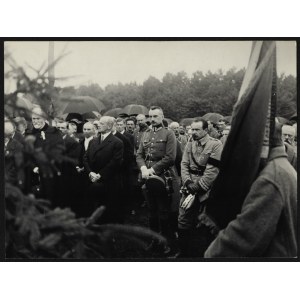 Błękitna Armia gen. Józefa Hallera] Zestaw 10 fotografii Błękitnej Armii oraz gen. J. Hallera z różnych defilad i uroczystości. Kraków 1919-1925, odbitki powojenne