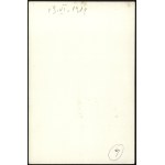 Błękitna Armia gen. Józefa Hallera] Zestaw 10 fotografii Błękitnej Armii oraz gen. J. Hallera z różnych defilad i uroczystości. Kraków 1919-1925, odbitki powojenne
