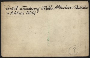3 Podhale Rifle Regiment] Photograph of the flag post of the 3rd P. S. P. in Bielsko-Biala.