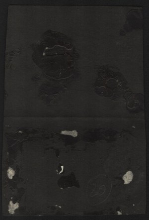3rd Highland Rifle Regiment] Photographs from the regiment's review in Bielsk 1936/37.