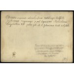 MOŚCICKI Ignacy] Fotografia z uroczystości wręczenia oficer. Centralnego Instytutu Wychowania Fizycznego Prezydentowi RP Ignacemu Mościckiemu. 5 X 1932 r. Fot. W. Pikiel