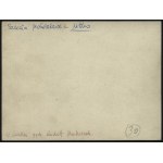 [Szkoła Podoficerów Piechoty dla Małoletnich Nr 3] Fotografia kadry oficerskiej S. P. P. dla Małoletnich nr 3 Nisko.