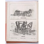 Kometa / Bąk / Krzykacz / Kometa [Lwowskie czasopisma satyryczne]. Drukiem M. F. Poremby. Lwów 1862. Nakład autora