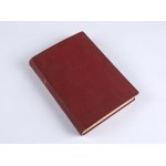 TUWIM Juljan - Polski Słownik Pijacki i Antologia Bachiczna. Warszawa 1935. Towarzystwo Wydawnicze Rój. Ilustrował Feliks Topolski.