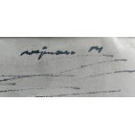 Mieczysław Wejman (1912-1997), Widok z sanatorium na Zakopane, 1954