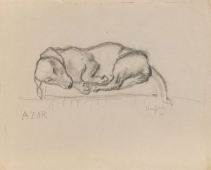 Henry Hayden (1883-1970), Azor