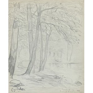 Eugeniusz Zak (1884-1926), Bois d’Amour, Pont-Aven, 1904