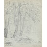 Eugeniusz Zak (1884-1926), Bois d’Amour, Pont-Aven, 1904