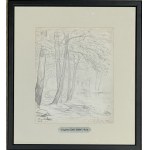 Eugeniusz Zak (1884-1926), Bois d’Amour, Pont-Aven, 1904