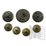 USA/U.S. Army Zestaw 7 Guzików Amerykańskich