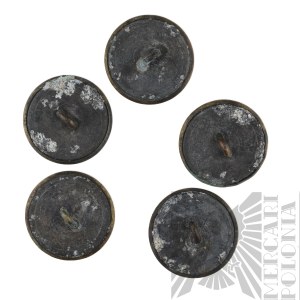 1WW - Five Polish Buttons with Eagle wz.17