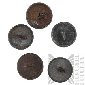 1WW - Five Polish Buttons wz.17 and Polnische Wehrmacht with Eagle