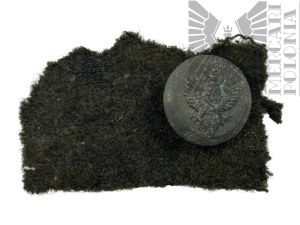 II RP Button wz.19 with Uniform Piece