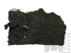 II RP Button wz.19 with Uniform Piece