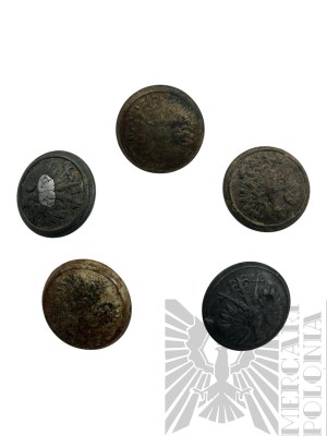 II RP 5 Polish Buttons with Eagle wz.28
