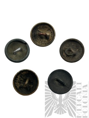 II RP 5 Polish Buttons with Eagle wz.28