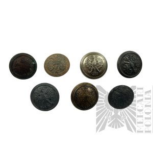 II RP Zestaw Siedmiu Małych Guzików wz.28