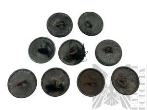 II RP Set of 9 Uniform Buttons wz.19