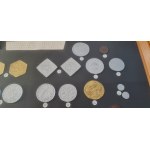Habsburg and Transylvanian Coin Display Frame