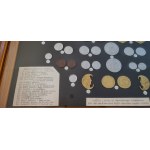 Habsburg and Transylvanian Coin Display Frame