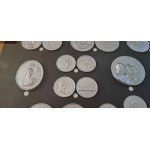 Habsburg and Transylvanian Medal Display Frame