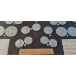 Habsburg and Transylvanian Medal Display Frame