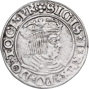 Poland - Sigismund I the Old, Groschen 1531 Danzig