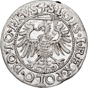 Poland - Sigismund I the Old, Groschen 1539 Elbing