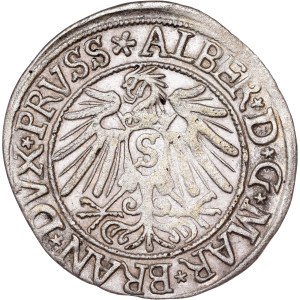 Państwa niemieckie - Albert Hohenzollern, Groschen Königsberg 1538 r.