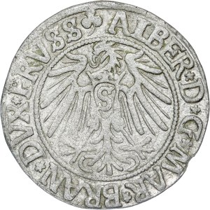 Poland - Sigismund I the Old, Groschen 1540