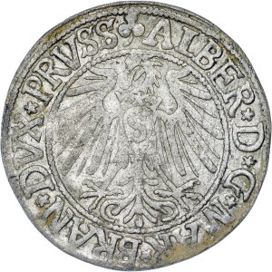 Państwa niemieckie - Albert Hohenzollern, Groschen Königsberg 1541 r.