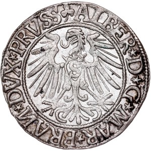 German States - Albert Hohenzollern, Groschen Königsberg 1544
