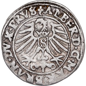 German States - Albert Hohenzollern, Groschen Königsberg 1548