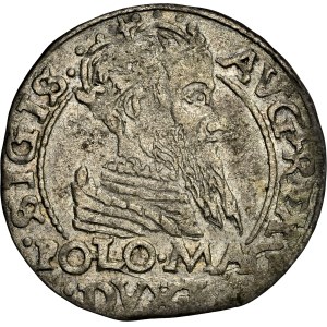 Poland - Sigismund II August Groschen 1566 Tykocin