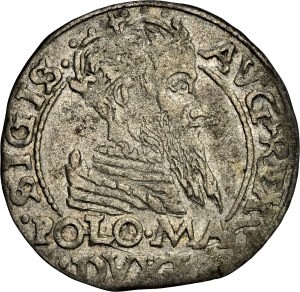Poland - Sigismund II August Groschen 1566 Tykocin