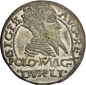 Poland - Sigismund II August Groschen 1567 Tykocin