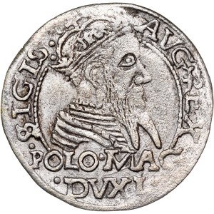 Poland - Sigismund II August Groschen 1567 Tykocin