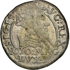Poland - Sigismund II August Groschen 1568 Tykocin