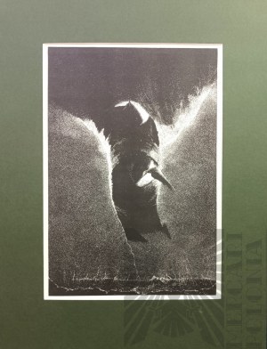 Jozef GIELNIAK, Improvisation for Grazynka VI, tintype