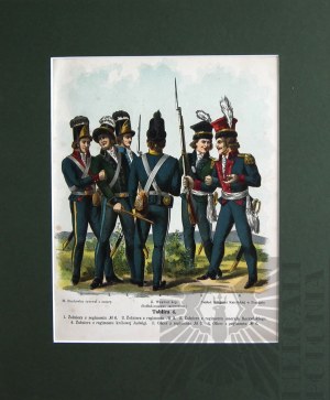 Michal STACHOWICZ (1768-1825), Kosciuszko's Polish Army, 1894