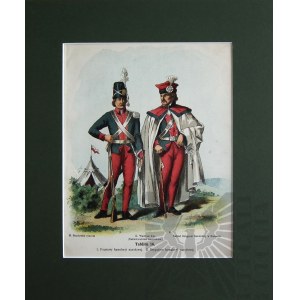 Michał STACHOWICZ (1768-1825), Wojsko Polskie Kościuszki, 1894