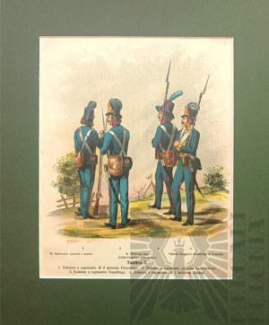 Michal STACHOWICZ (1768-1825), Kosciuszko's Polish Army, 1894